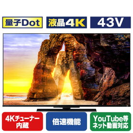 TOSHIBA/REGZA 43V型4Kチューナー内蔵4K対応液晶テレビ Z670Lシリーズ 43Z670L [43Z670L](43型/43インチ)【RNH】【MAAP】