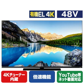 TOSHIBA/REGZA 48V型4Kチューナー内蔵4K対応有機ELテレビ X8900Lシリーズ 48X8900L [48X8900L](48型/48インチ)【RNH】