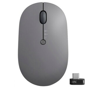 m{ Type-C CX}EX Lenovo Go O[ GY51C21211 [GY51C21211]