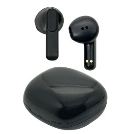 ラスタバナナ Bluetooth 5．2完全ワイヤレスイヤフォンマイク AAC対応 ブラック RTWS05BK [RTWS05BK]【NVPM】