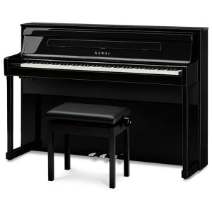 �͍� �d�q�s�A�m �y���Ꭹ�݈֎q���w�b�h�z���t���z ���h���o���h���d�グ CA901EP [CA901EP]�yKNSY�z