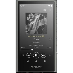 SONY fW^I[fBI(64GB) EH[N} O[ NW-A307 H [NWA307H]yRNHzyPTOCz