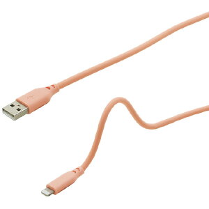 CvN }V} Lightning/Type-AP[u 1D0m sN IUSSAL100PK [IUSSAL100PK]