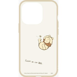 O}fB[Y iPhone 14 Pro/13 PropϏՌP[X IIIIfit Clear fBYj[ ܂̃v[ DNG-24PO [DNG24PO]