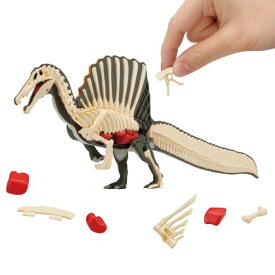 メガハウス スピノサウルス復元パズル カイタイパズルスピノサウルスフクゲン [カイタイパズルスピノサウルスフクゲン]【ETOY】