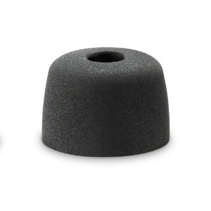 y11/1 Gg[ōőP5{zSONY mCYAC\[VC[s[X(LTCY) EPNI1010L Q [EPNI1010L]