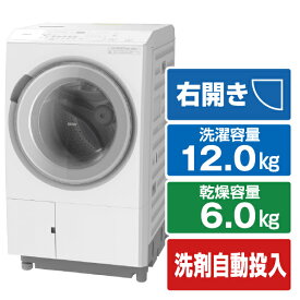 日立 【右開き】12．0kgドラム式洗濯乾燥機 ビッグドラム ホワイト BD-SX120JR W [BDSX120JRW]【RNH】