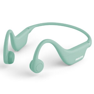 PHILIPS ���`�����C�����X�C���z�� �O���[�� TAK4607GR/00 [TAK4607GR00]�yRNH�z