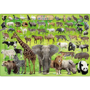 G|bN sN`ApY 63s[X ̂イ RhAP25107CLm_CVESER [RhAP25107CLm_CVESER]