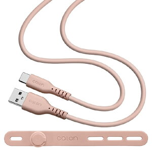 X^oii Type-A to Type-C _炩VRP[u(1D0m) calon X[L[sN R10CAAC3A06SPK [R10CAAC3A06SPK]