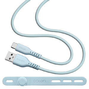 X^oii Type-A to Type-C _炩VRP[u(1D0m) calon X[L[u[ R10CAAC3A06SBL [R10CAAC3A06SBL]