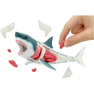 KnEX ̃pY zzWU JC^CpYzzWU [JC^CpYzzWU]