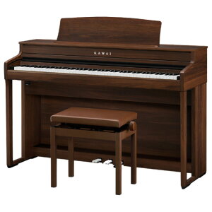 KAWAI dqsAm JEHibgdグ CA401MW [CA401MW]