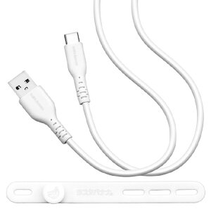 X^oii USB Type-A to Type-C _炩VRP[u(1D0m) zCg R10CAAC3A05WH [R10CAAC3A05WH]