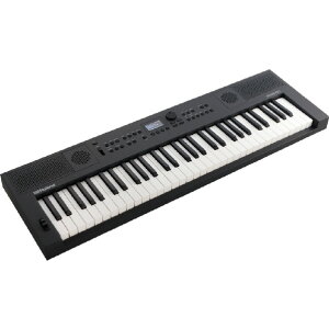 [h dqL[{[h GO:KEYS 5 Ot@Cg GOKEYS5-GT [GOKEYS5GT]yPTOCz