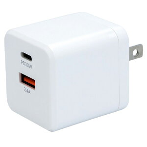 STAR LIGHT USB[d KE(GaN) PPSΉ p[fo[PD45W  SK-CH1A1CPD45WH [SKCH1A1CPD45WH]