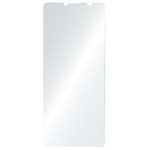�g���j�e�B Xperia 10 VI/10 V�p���F���Ȃ��u���[���C�g�ጸ ��ʕی십���K���X ���� TR-XP245-GL-B3CC [TRXP245GLB3CC]