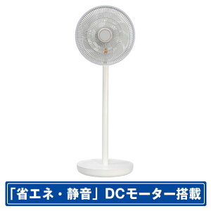 SKWp DC[^[ڃrO@ zCg SJM-E909 [SJME909]yOCTPz