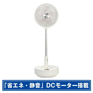 SKWp DC[^[ڃrO@ zCg SJM-E908 [SJME908]