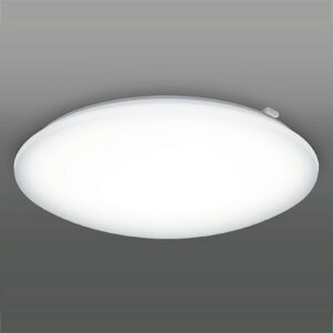 ^LY~ `12p LEDV[OCg TAKIZUMIELavoV[O ROX12156 [ROX12156]