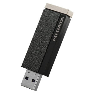 IEOf[^ 24ԘA^/4KΉ ^pXeBbNSSD(1TB) AVSSD-RS1 [AVSSDRS1]