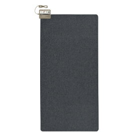 パナソニック ホットカーペット(1畳相当・本体のみ) DC-1NK [DC1NK]【RNH】