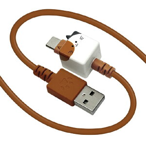 X^oii Type-A to Type-C P[u(1D0m) oɂ[ ~bP R10CAAC3A06MIK [R10CAAC3A06MIK]