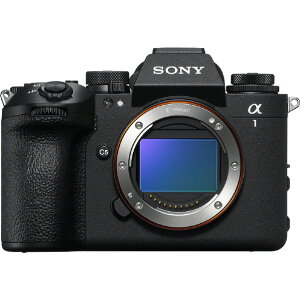 SONY fW^JE{fB  ILCE-1M2 [ILCE1M2]yRNHz