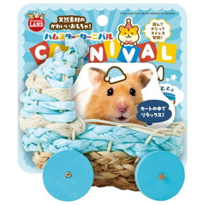 }J nJ[jo₷݃J[g(M) nX^-J-joIX~J-gM [nX^-J-joIX~J-gM]