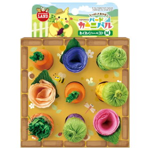 }J o[hJ[jo킭킭n[xXg(M) o-hJ-joNNn-xXgM [o-hJ-joNNn-xXgM]