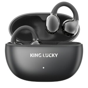 KINGLUCKY I[vC[^(C`)SCXCtH i239 ubN I239BK [I239BK]