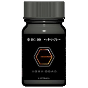 �K�C�A�m�[�c HG-09 �w�L�T�O���[ HG09�w�L�T�O��- [HG09�w�L�T�O��-]