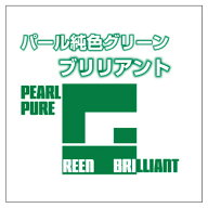ガイアノーツ パール 純色グリーンブリリアント ガイアパ-ルジユンシヨクグリ-ンBHP [ガイアパ-ルジユン…