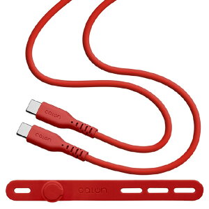 X^oii TYPE-C - TYPE-C _炩VRP[u(1D0m) CALON EH[bh R10CACC3A04WRD [R10CACC3A04WRD]