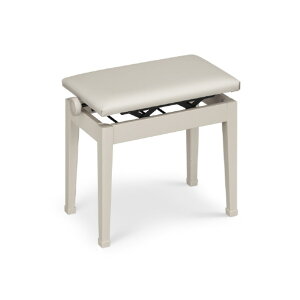 JVI sAmpCX O[x[W CB-30GB [CB30GB]