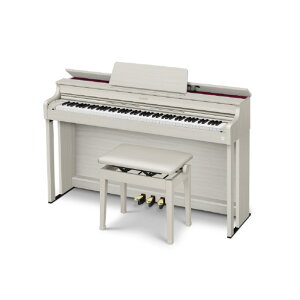 JVI dqsAm CELVIANO O[x[WEbh AP-300GB [AP300GB]