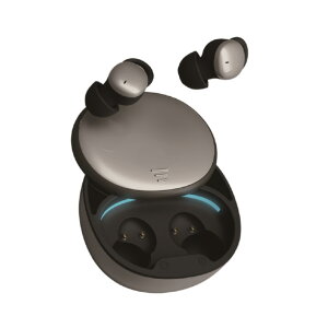 y11/1 Gg[ōőP5{zO[nEX SCXCtH QȂ^Cv Vo[ GH-TWEA-SV [GHTWEASV]yRNHz