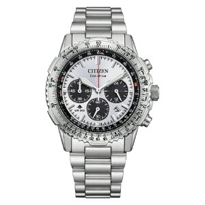 �V�`�Y�� �����d�G�R�E�h���C�u�r���v �v���}�X�^�[ SKY�V���[�Y �V���o�[ CA4660-61A [CA466061A]�yJLMP�z