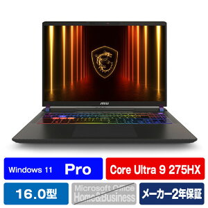 MSI m[gp\R Vector 16 HX AI A2XW RXXOC VECTOR16HXA2XWIG7650JP [VECTOR16HXA2XWIG7650JP]