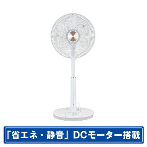  DC[^[ڃRtrO@ zCg GF-DC325FR-W [GFDC325FRW]