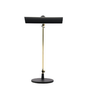 �X���� LED�X�^���h SWAN LEDIC EXARM�ENY �u���b�N LEX-1100BK [LEX1100BK]�yJLMP�z