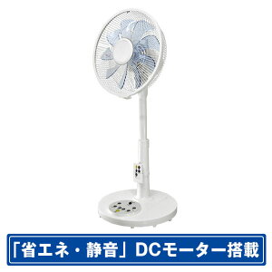 ReeD DC[^[ڃRt30cmrO@ zCg RD-BDC3006W [RDBDC3006W]yOCTPz
