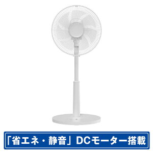 YAMAZEN DC[^[ڃrO@ e angle select O[ ELX-CP030E5-H [ELXCP030E5H]yRNHzySPSPz