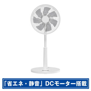 YAMAZEN DC[^[ڃrO@ e angle select zCg ELX-SAP030E5-W [ELXSAP030E5W]yRNHzySPSPz