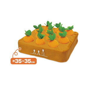 s[ibcNu ӂӂn!ʂݔ ɂ񂶂 S04NG-001OR [S04NG001OR]