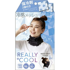 At@bNX A[N[ lbNJo[ A-N-lcNJo- [A-N-lcNJo-]