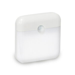 ANTEL Type-C[d tbgiCgCg ÐlZT[ HX10LT-008WH [HX10LT008WH]