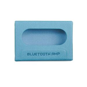 FIIO RETRO NANOpP[X u[ FIO-SK-SSRNANO-L [FIOSKSSRNANOL]yBLKPz