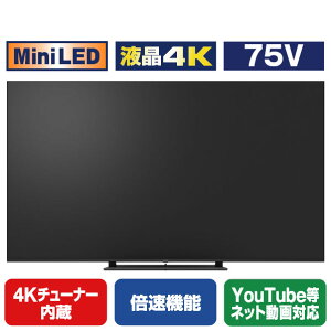 �p�i�\�j�b�N 75V�^4K�`���[�i�[����4K�Ή��t���e���r VIERA TV-75W95B [TV75W95B]�yRNH�z