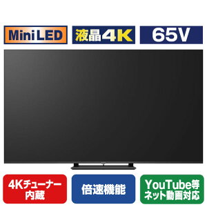 �p�i�\�j�b�N 65V�^4K�`���[�i�[����4K�Ή��t���e���r VIERA TV-65W95B [TV65W95B]�yRNH�z